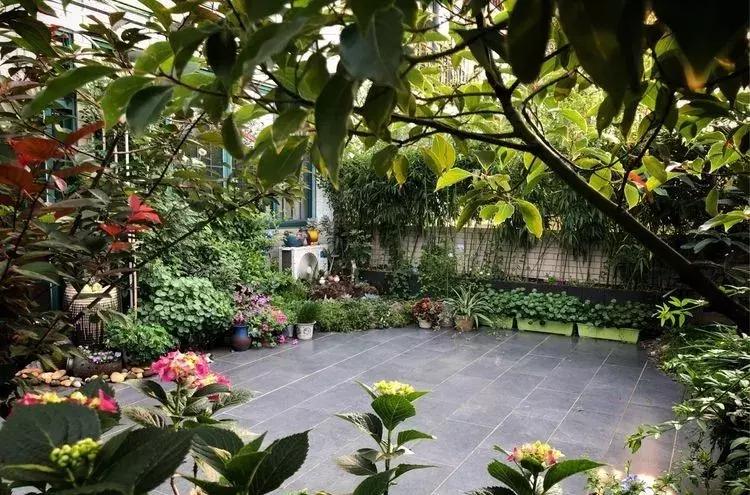 香香的花园自拍杆,香香的花围墙推荐