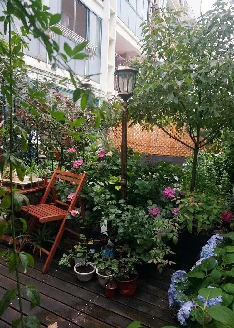 香香的花园自拍杆,香香的花围墙推荐