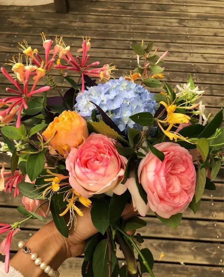 香香的花园自拍杆,香香的花围墙推荐