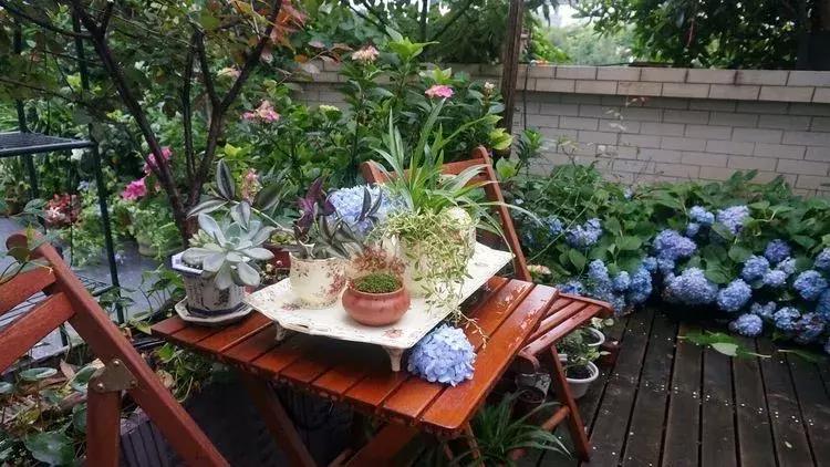 香香的花园自拍杆,香香的花围墙推荐