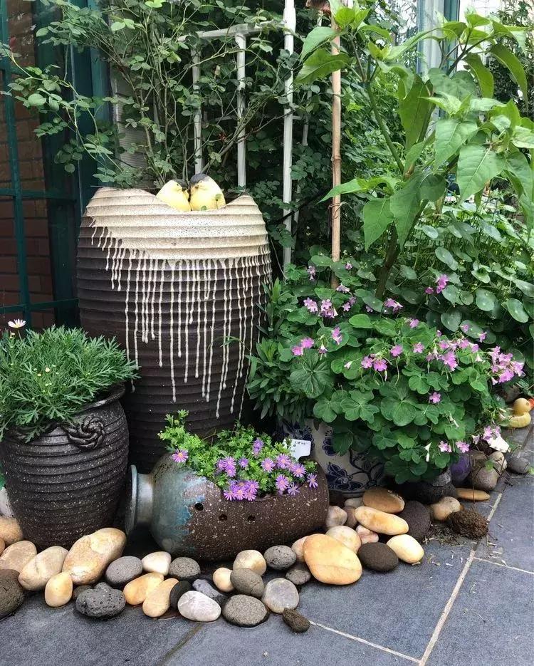 香香的花园自拍杆,香香的花围墙推荐