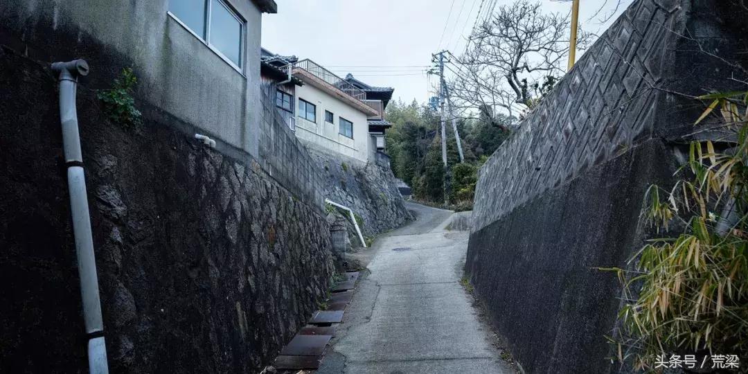 国内安藤忠雄的作品越来越多,但离“清水混凝土诗人”越来越远