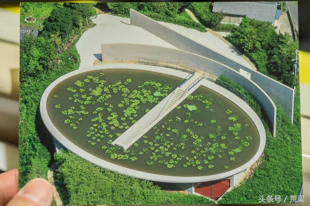 国内安藤忠雄的作品越来越多,但离“清水混凝土诗人”越来越远