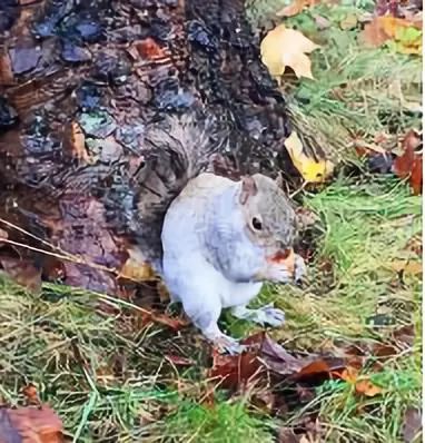 去英国最便宜的方法,初到南京怎么赚钱