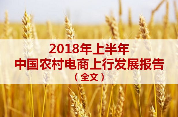 中国农村电商发展现状论文,2018年农村电商达1.37万亿