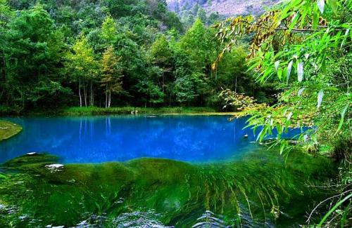 「九州文学」刘海军丨近体诗丨天南地北大中华