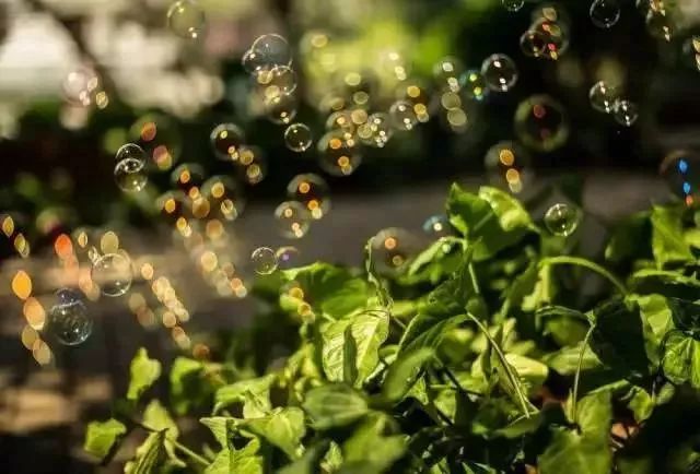 南昌去内蒙古攻略路线 (南昌去内蒙古怎么走最便宜)