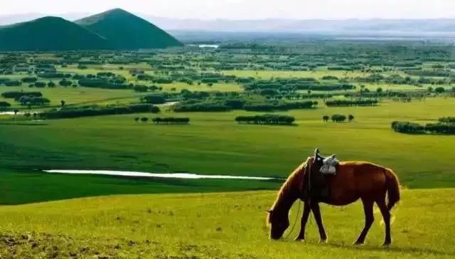 南昌去内蒙古攻略路线 (南昌去内蒙古怎么走最便宜)