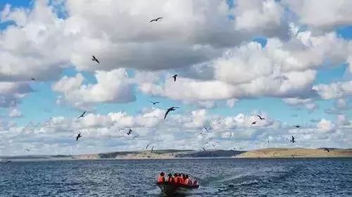 南昌去内蒙古攻略路线 (南昌去内蒙古怎么走最便宜)