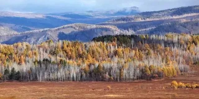 南昌去内蒙古攻略路线 (南昌去内蒙古怎么走最便宜)