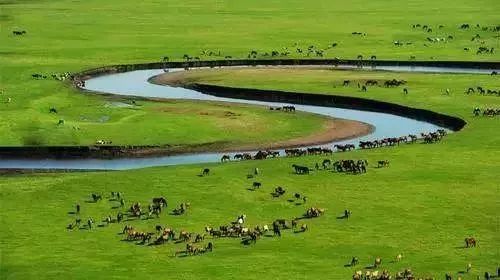 南昌去内蒙古攻略路线 (南昌去内蒙古怎么走最便宜)