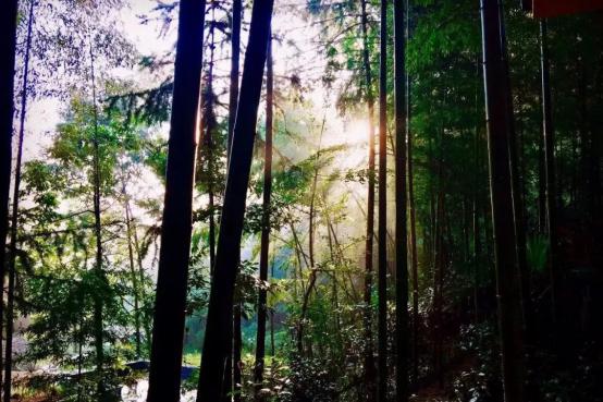 寻觅半山民宿,绵阳值得打卡的民宿