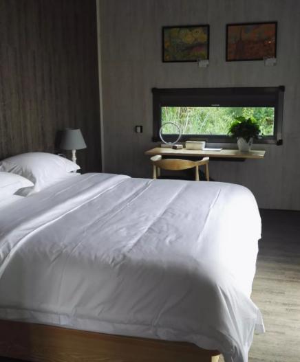 寻觅半山民宿,绵阳值得打卡的民宿