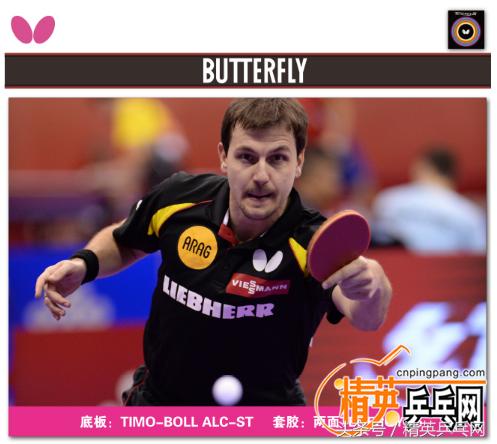 「精英聊器材」天下乒器之从“精神”到“ALC”品谈波尔之剑！