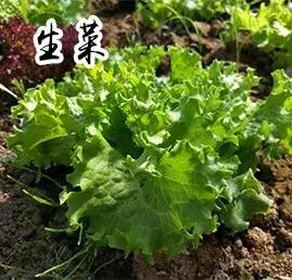 长春采摘农家乐一日游,长春市周边度假山庄农家乐