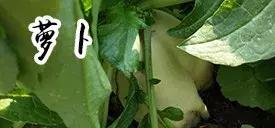 长春采摘农家乐一日游,长春市周边度假山庄农家乐