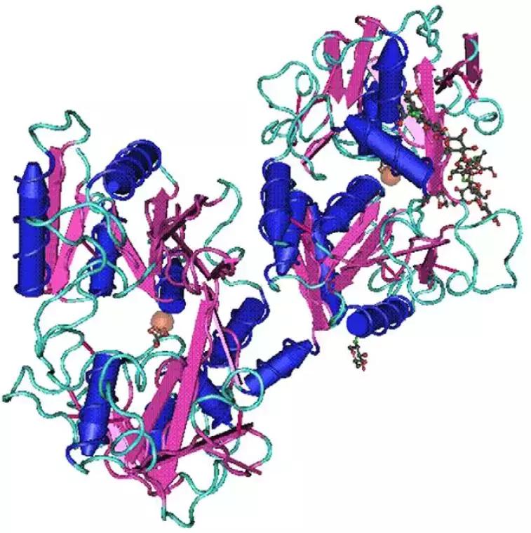 乳铁蛋白推荐测评,乳铁蛋白平价好用测评