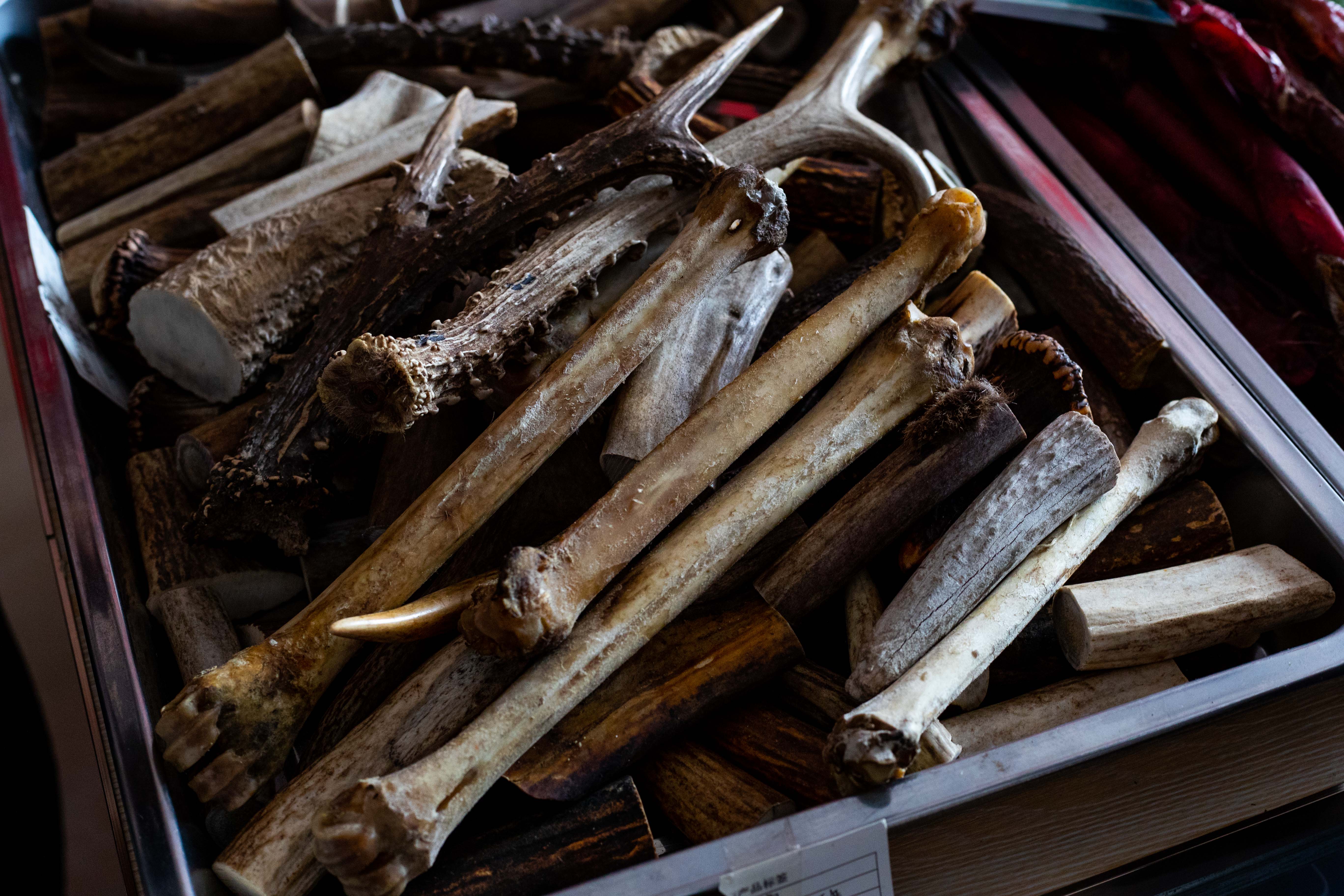 人口不到5万的中国梅花鹿之镇，每天现金流水超过1000万