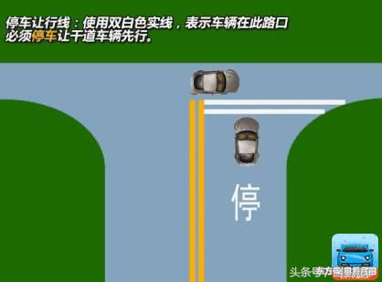 马路小白变杀手,一张图看懂交规