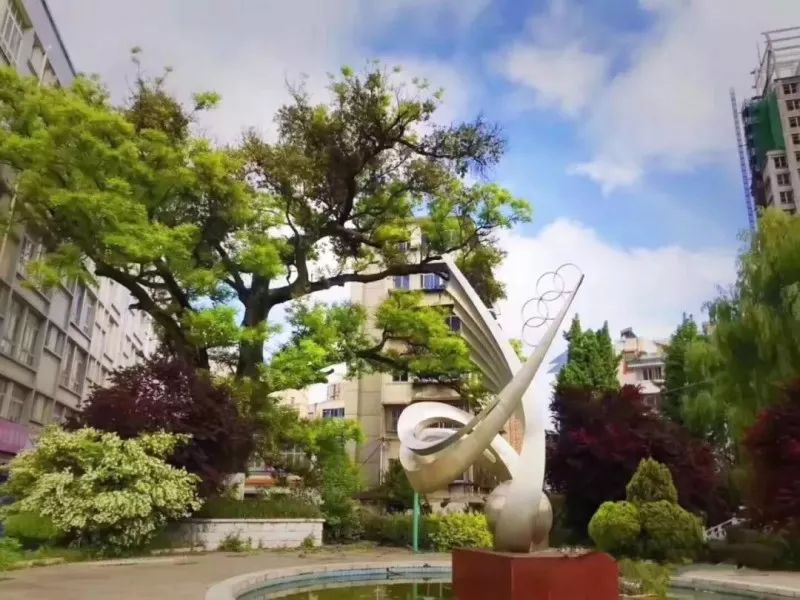 北京阳光教育集团官网,阳光教育控股集团有限公司