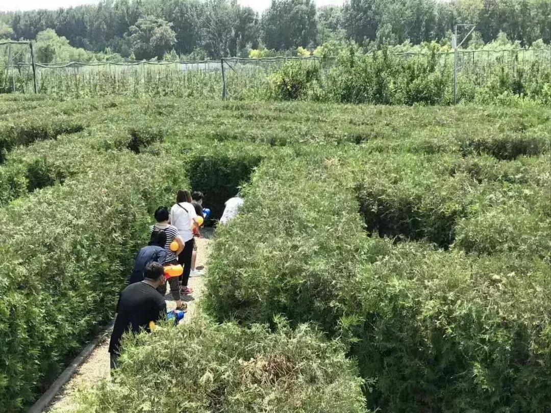 京郊7月采摘好去处,江宁农场采摘一日游