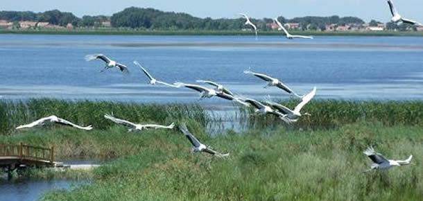泗县段隋唐大运河有什么样的历史,泗县隋唐大运河遗址相关调查报告