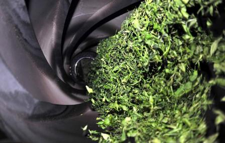 鲜茶叶杀青时可用开水杀青吗,给茶叶杀青