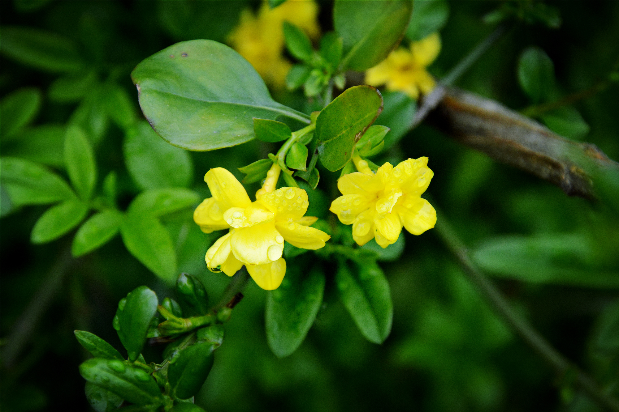 苏州哪里小桥流水人家,苏州少数人知道的好玩地方