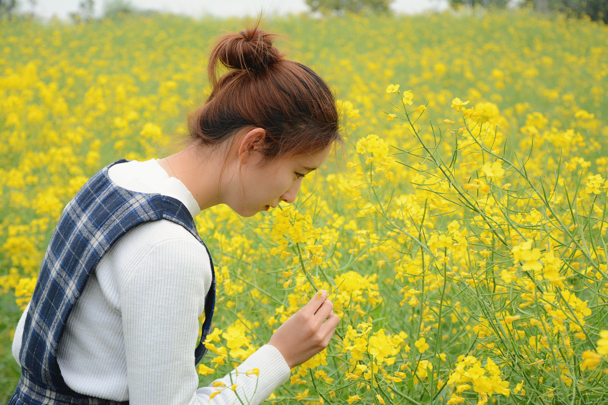 苏州哪里小桥流水人家,苏州少数人知道的好玩地方