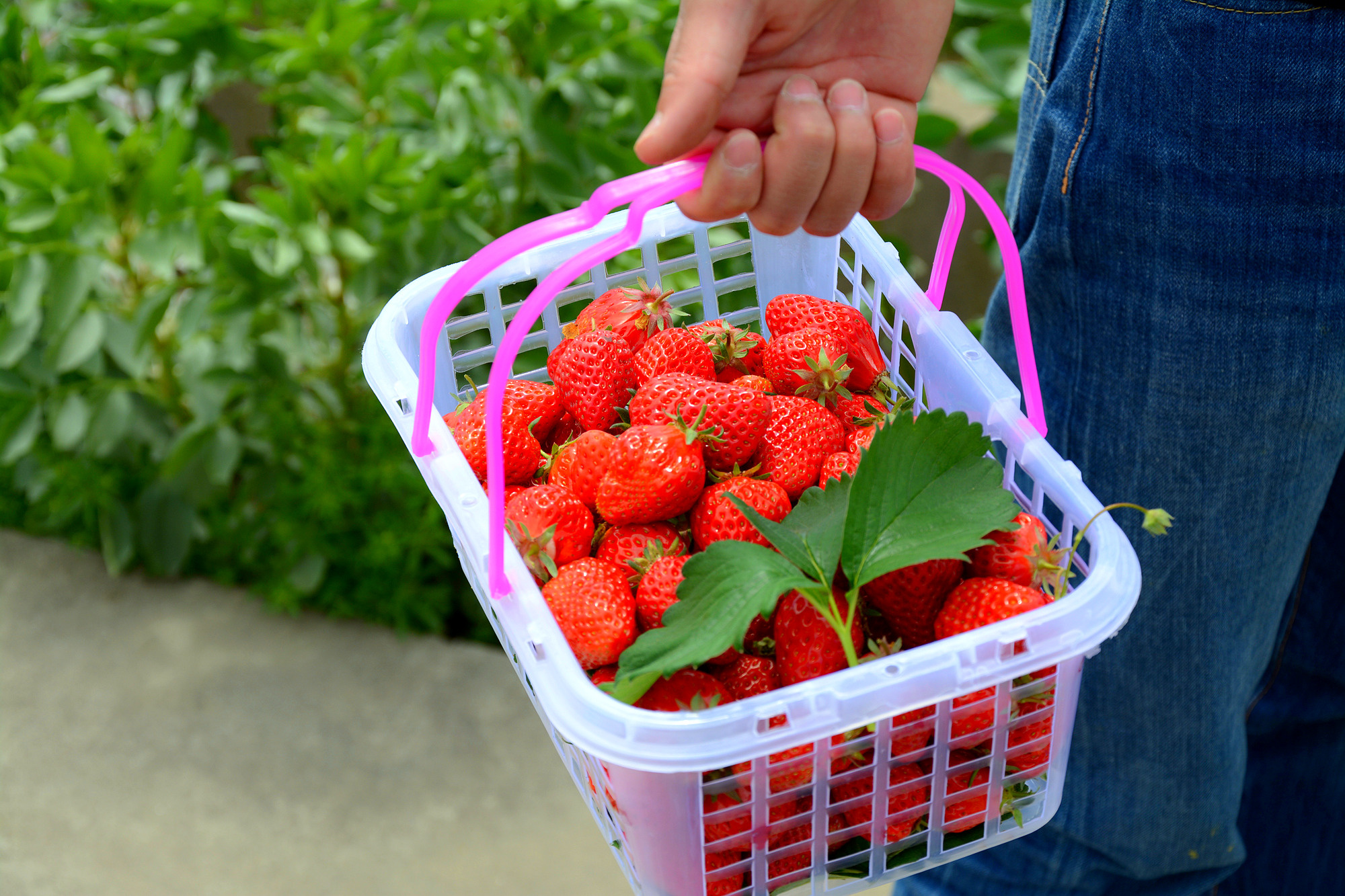 苏州哪里小桥流水人家,苏州少数人知道的好玩地方