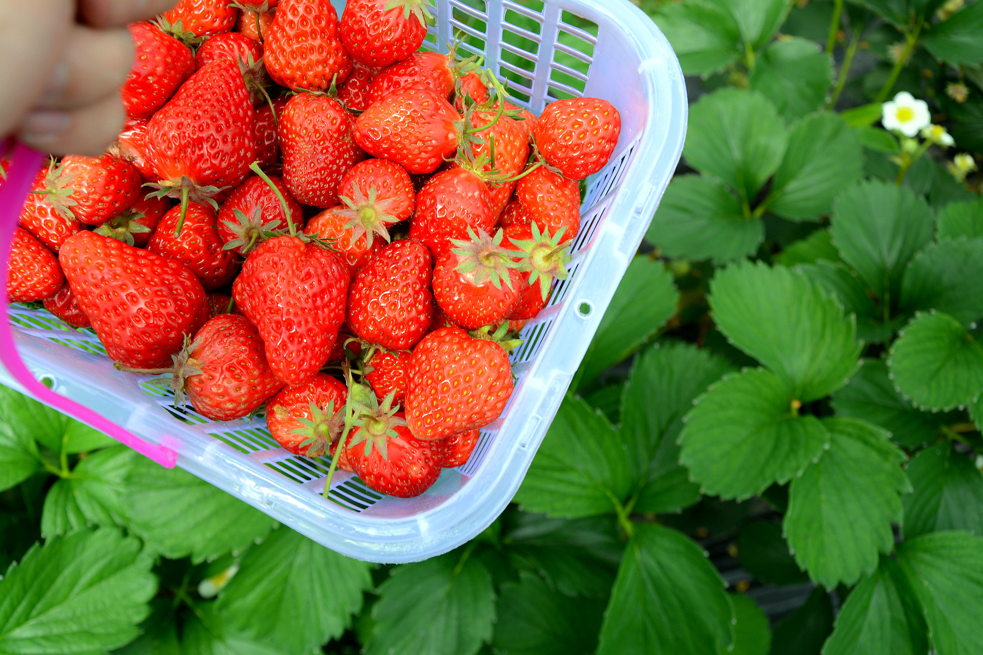 苏州哪里小桥流水人家,苏州少数人知道的好玩地方