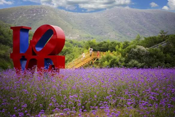 鹿泉春天去哪看花海,鹿泉区花海