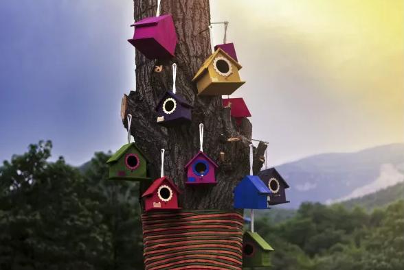 鹿泉春天去哪看花海,鹿泉区花海