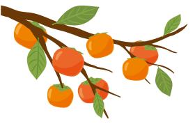 杨梅别只用清水洗教你正确方法,杨梅怎么吃是正确的方法