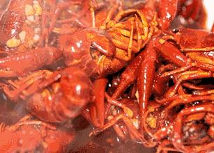 小龙虾征战世界杯,小龙虾与世界杯共狂欢