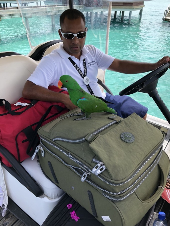 马尔代夫robinsonclub,马尔代夫robinson