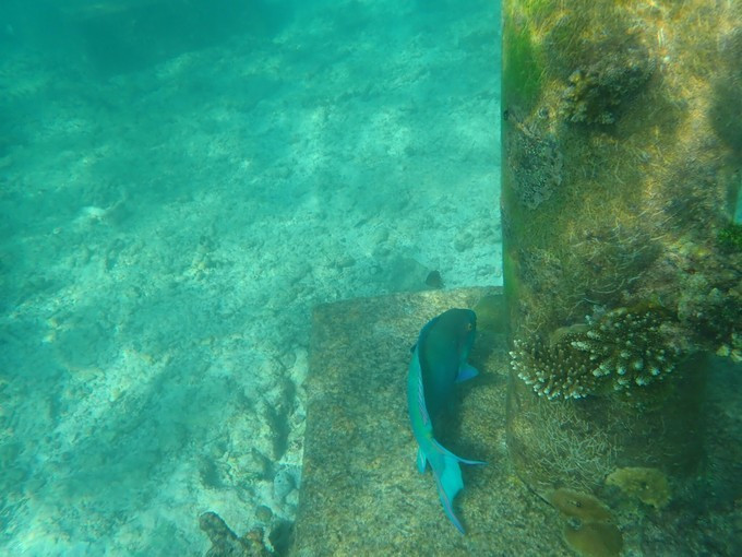 马尔代夫robinsonclub,马尔代夫robinson