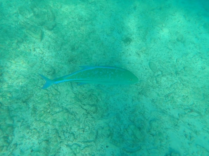 马尔代夫robinsonclub,马尔代夫robinson