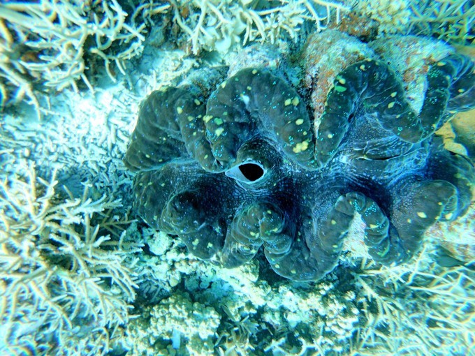 帕劳海岛旅行攻略,帕劳海岛旅行之旅