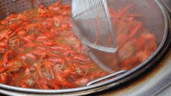 小龙虾征战世界杯,小龙虾与世界杯共狂欢