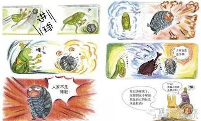 足球知识绘本,有关足球世界杯的绘本