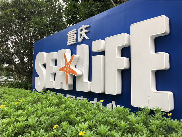 魅族15拍照不清晰,魅族15拍照专业模式