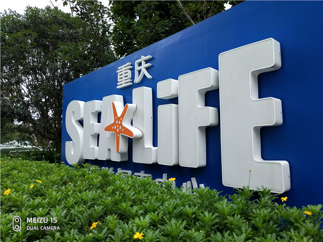 魅族15拍照不清晰,魅族15拍照专业模式