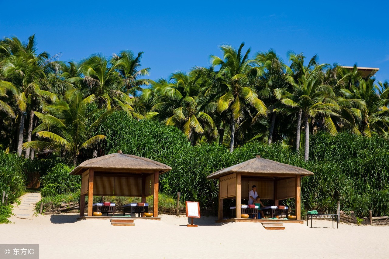 凤凰岛夜景去哪儿看,夜晚的凤凰岛景色迷人