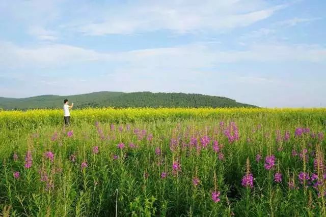 北京出发坐火车沿途风景好的线路,北京至内蒙古旅游坐什么火车