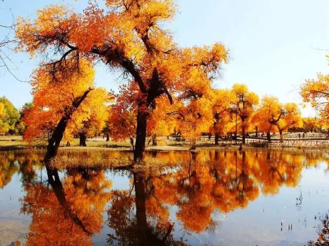 北京出发坐火车沿途风景好的线路,北京至内蒙古旅游坐什么火车