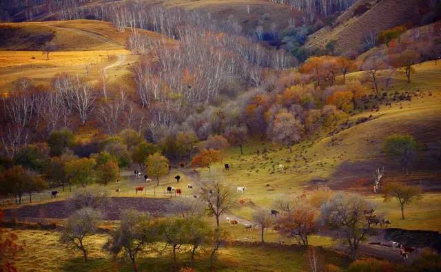 北京出发坐火车沿途风景好的线路,北京至内蒙古旅游坐什么火车