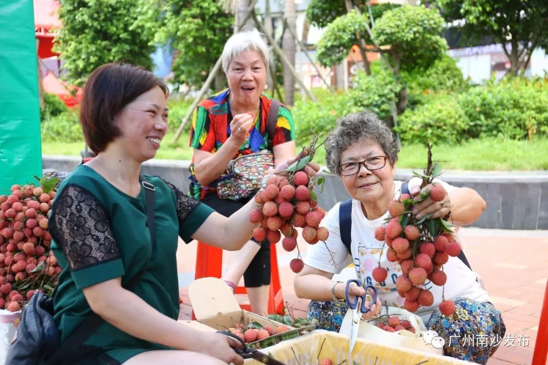 南沙荔枝节,广州南沙荔枝节