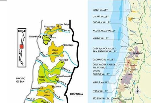 为什么大家都钟爱澳洲红酒,为什么大家都喜欢拉菲
