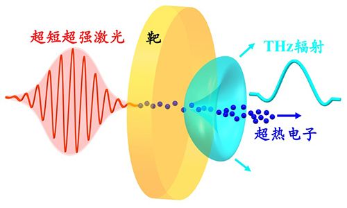 张杰了解谢娜完整版,张杰认识谢娜的视频